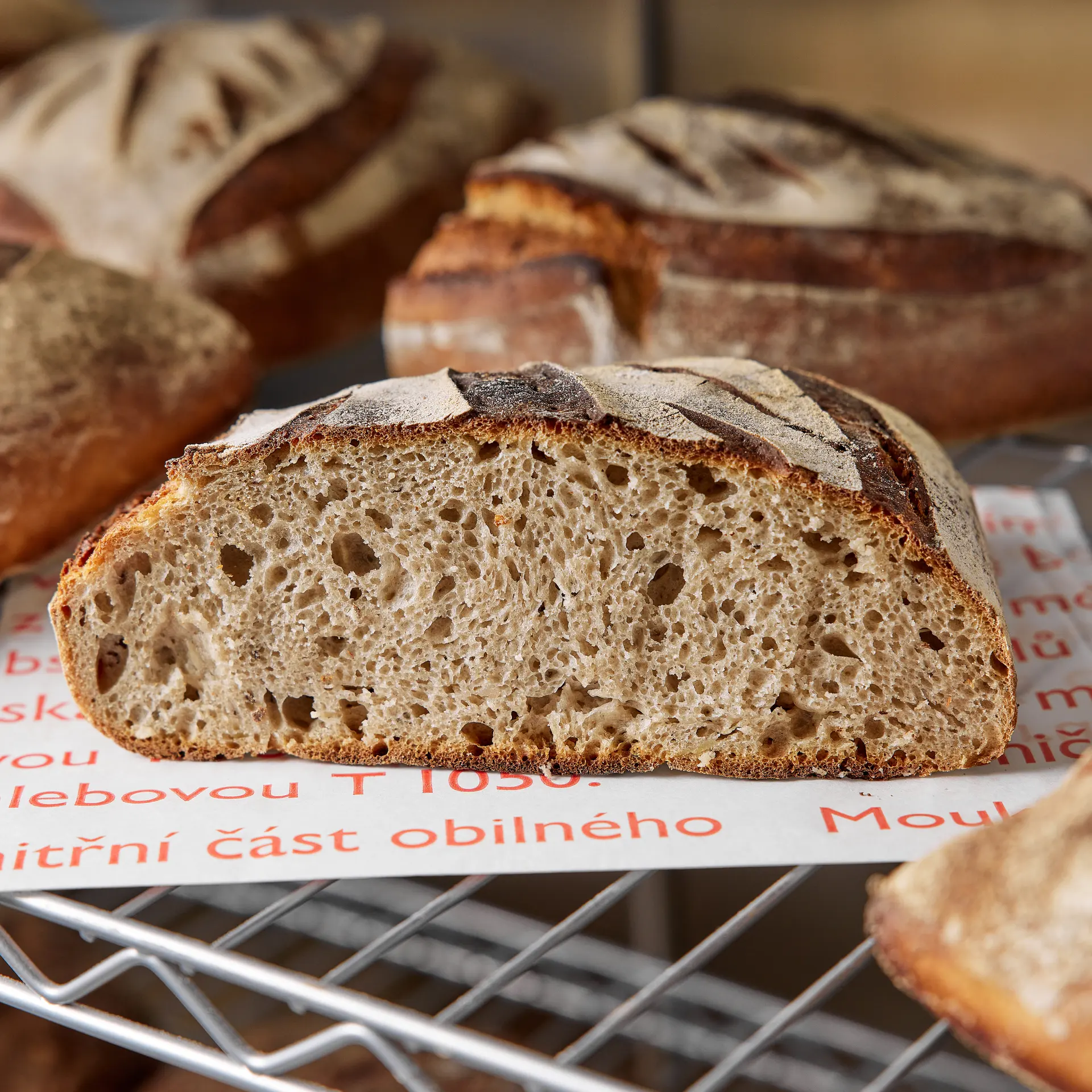 Sourdough bread crumb close-up.